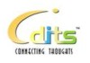 Dits Network